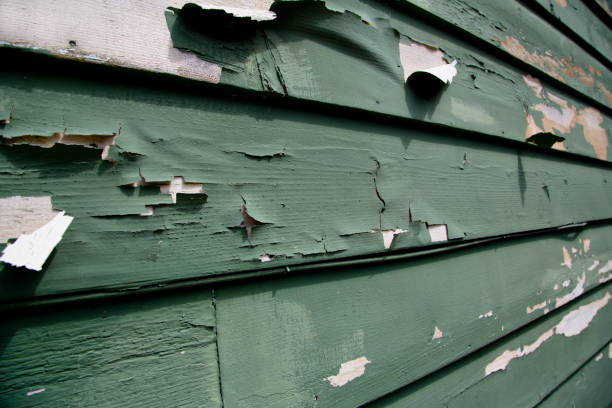 Best Estate Cleanout  in Tyhee, ID